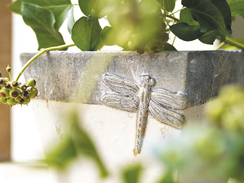 Jardin d'Ulysse Photo